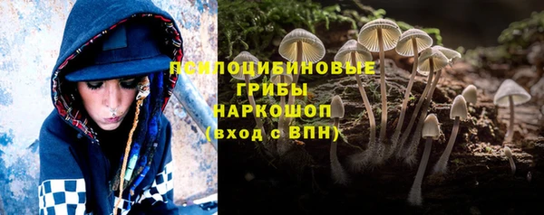 молекула духа Куйбышев